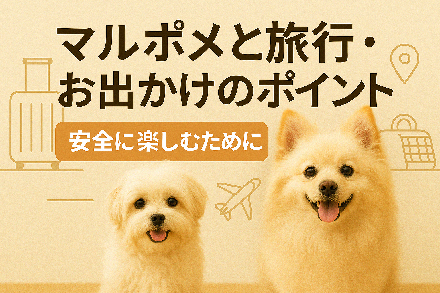 マルポメと旅行・お出かけのポイント
