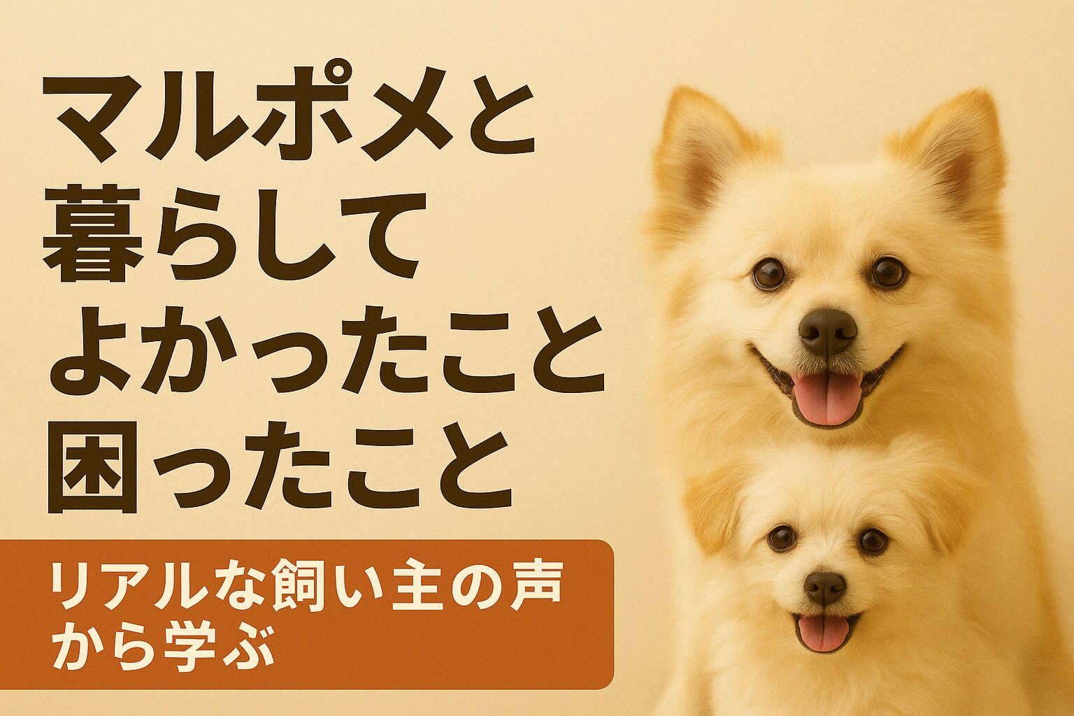 マルポメとの暮らしの喜びとリアルな日常