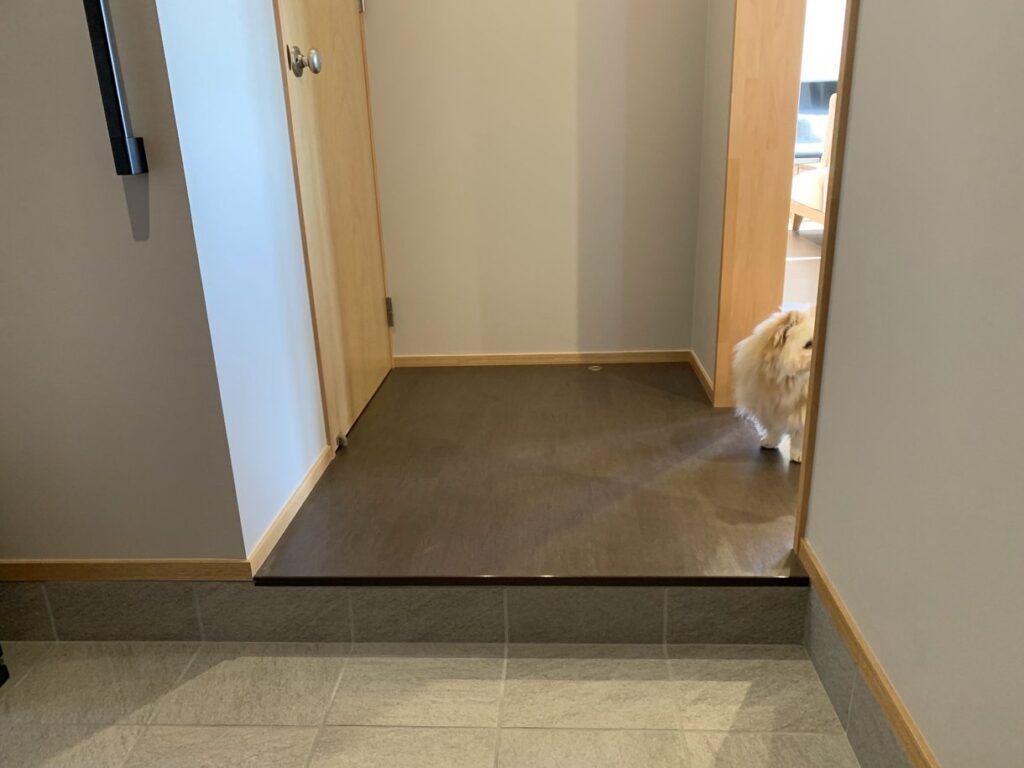 室内から玄関を覗くふわふわの犬と清潔な玄関スペース