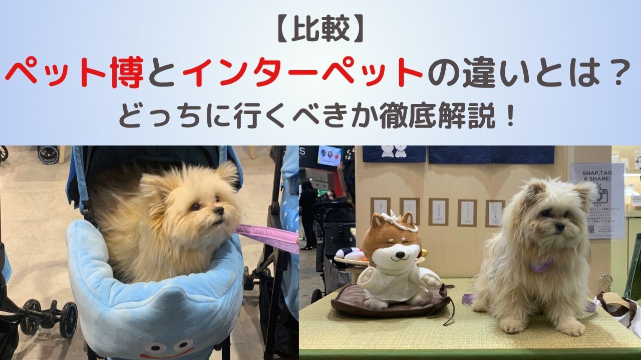 【比較】ペット博とインターペットの違いとは？どっちに行くべきか徹底解説！