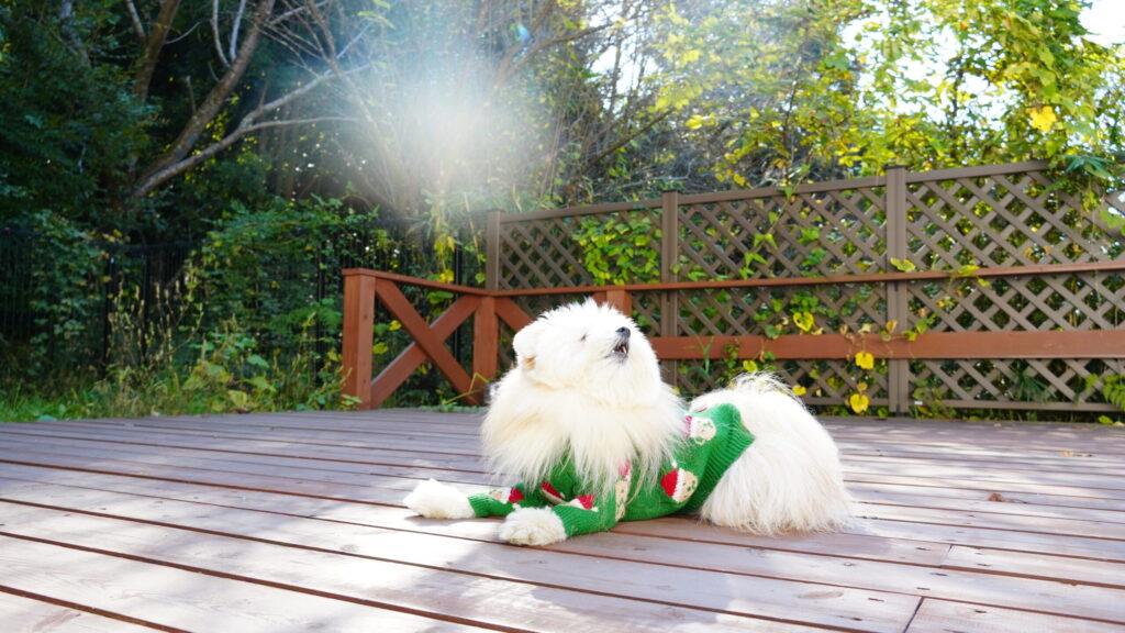 アウラテラス茨城