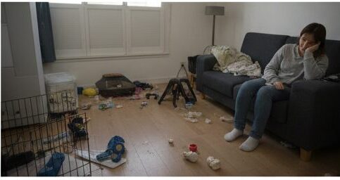 毎日の世話を「負担」と感じやすい人