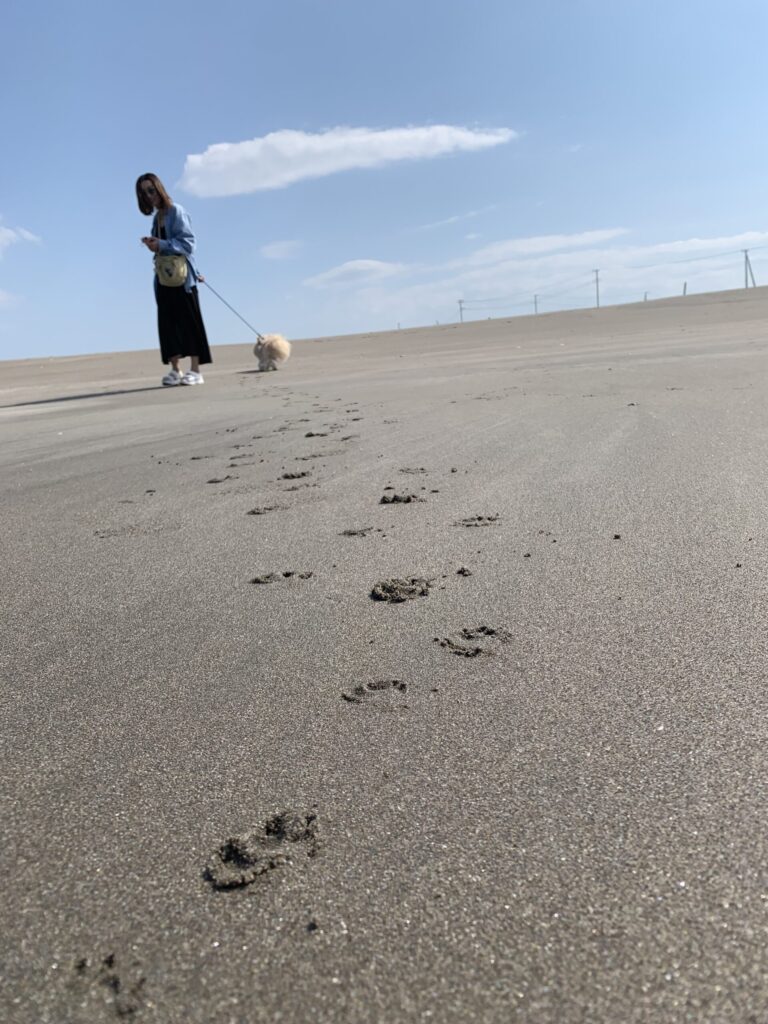 九十九里 一宮海岸