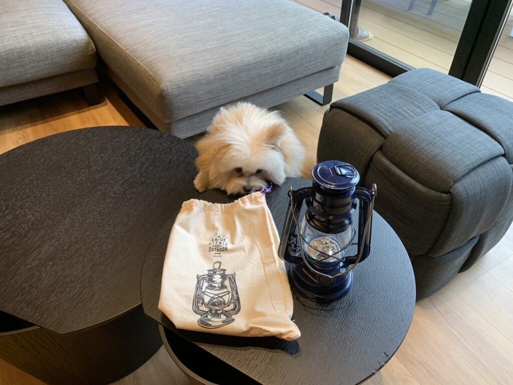 Rakuten STAY VILLA 日光