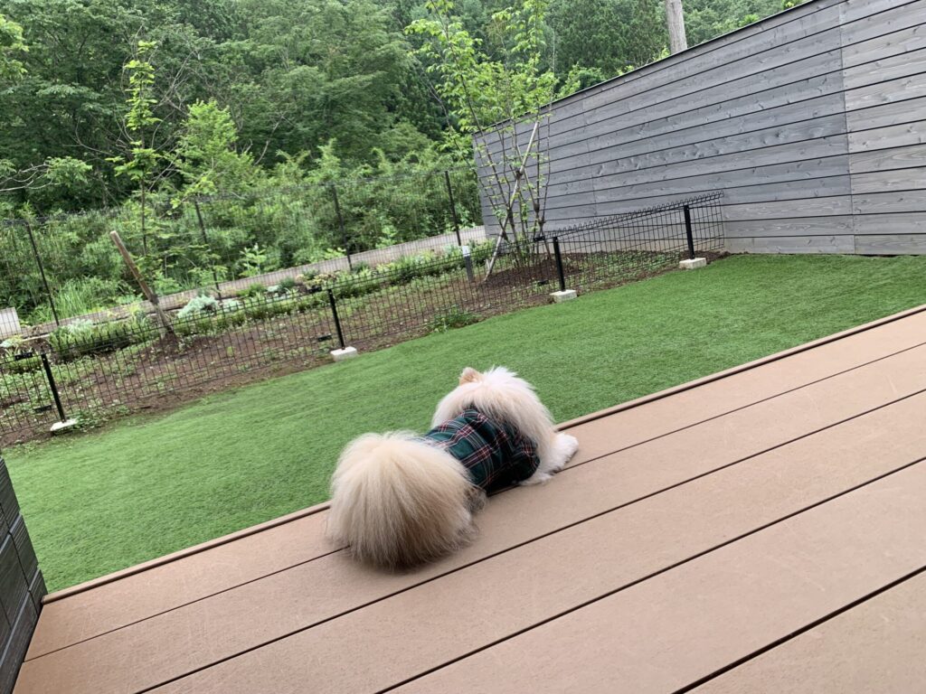 Rakuten STAY VILLA 日光