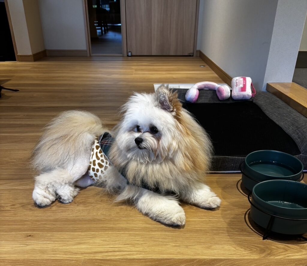 Rakuten STAY VILLA 日光