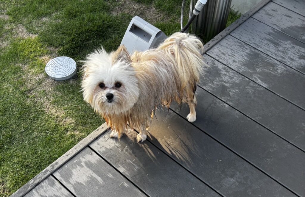 プライベートヴィラ AMIRU 千葉一宮