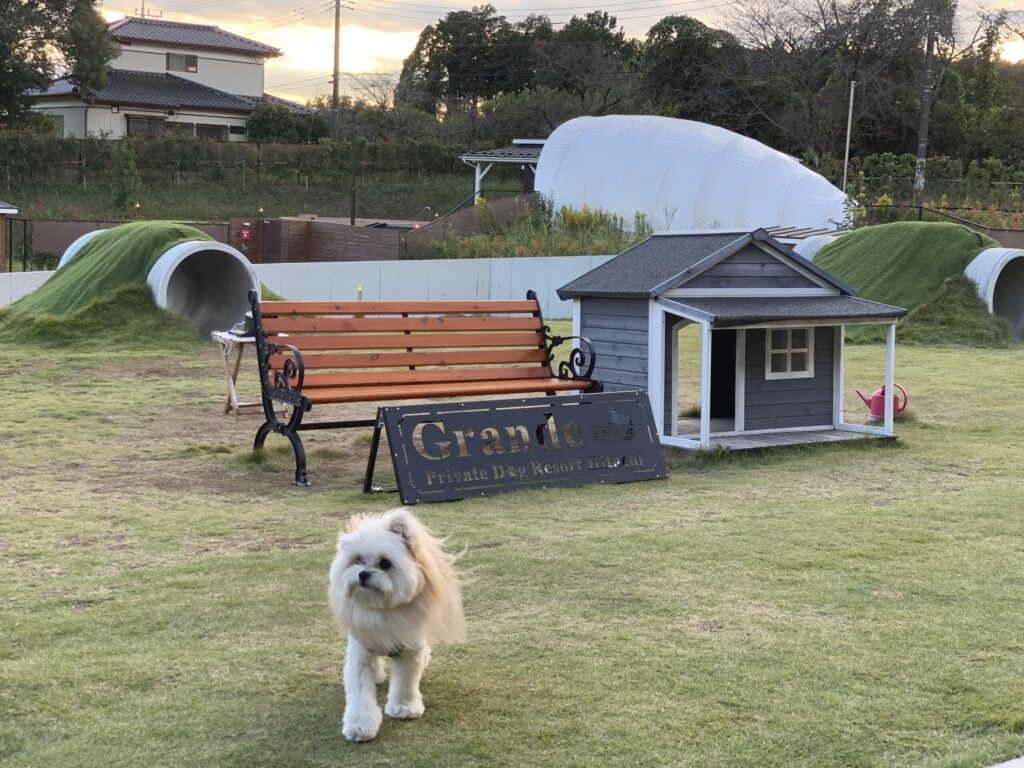 グランデ プライベート ドッグリゾート常陸