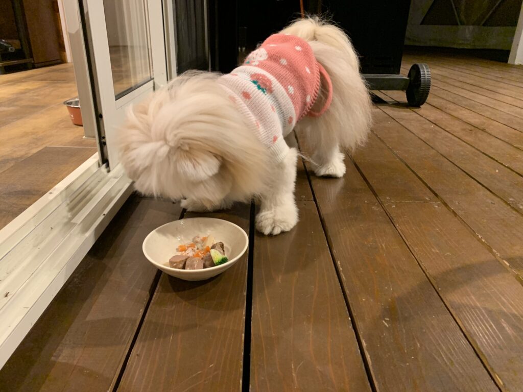 グランデ プライベート ドッグリゾート常陸