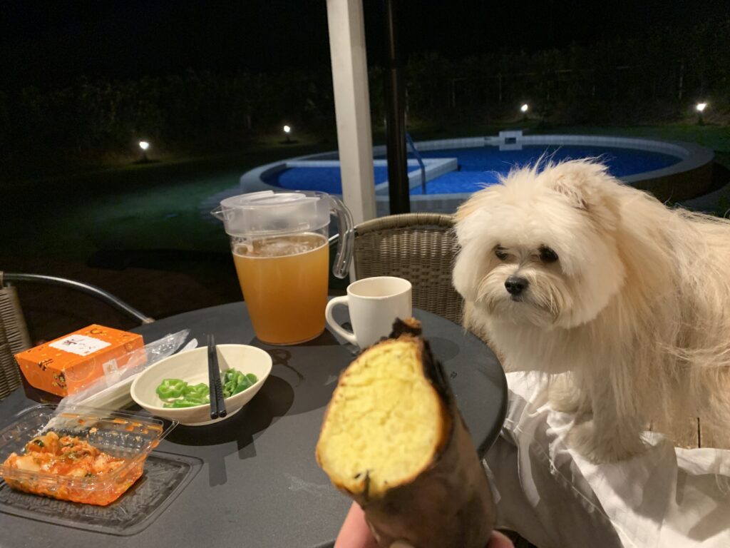 グランデ プライベート ドッグリゾート常陸