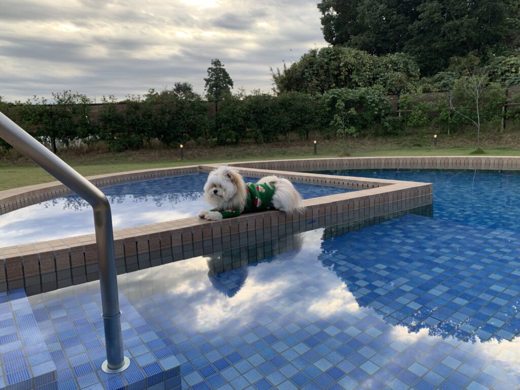 グランデ プライベート ドッグリゾート常陸