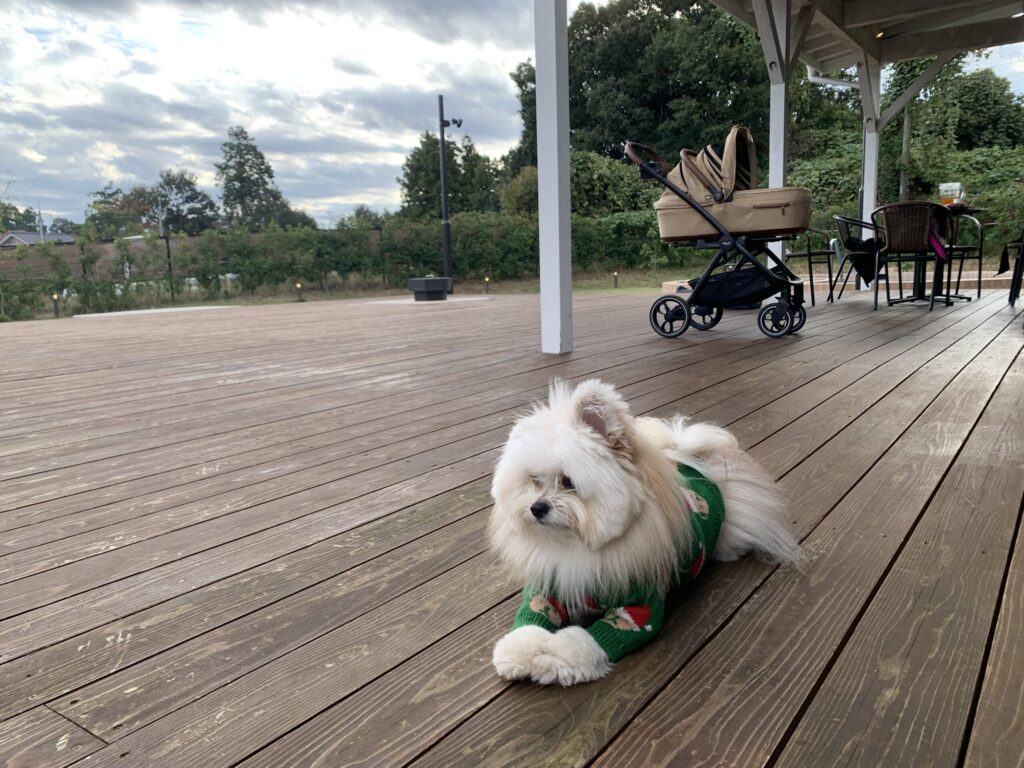 グランデ プライベート ドッグリゾート常陸