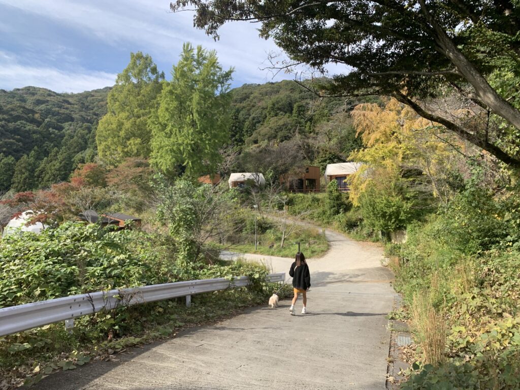 アウラテラス茨城