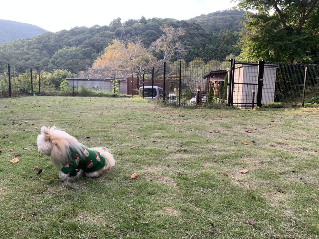 アウラテラス茨城