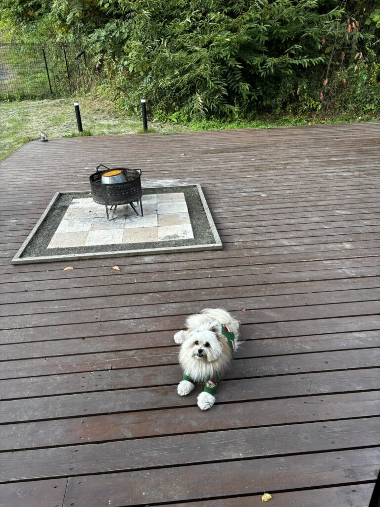 アウラテラス茨城