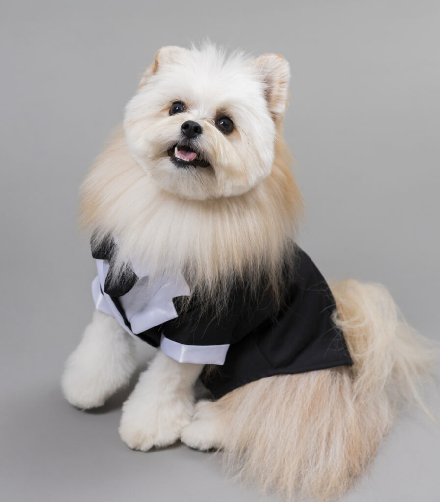 【リボンくん】記念撮影