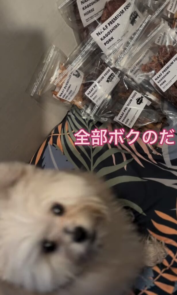 鹿児島県姶良市ふるさと納税