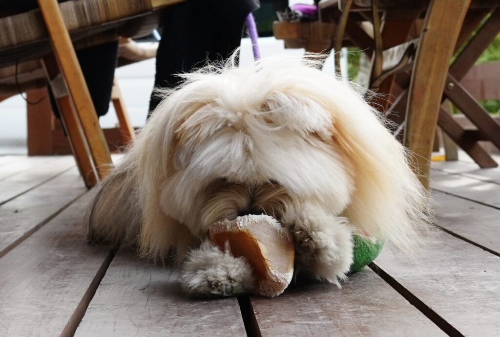 【リボンくん】の大好きなガム