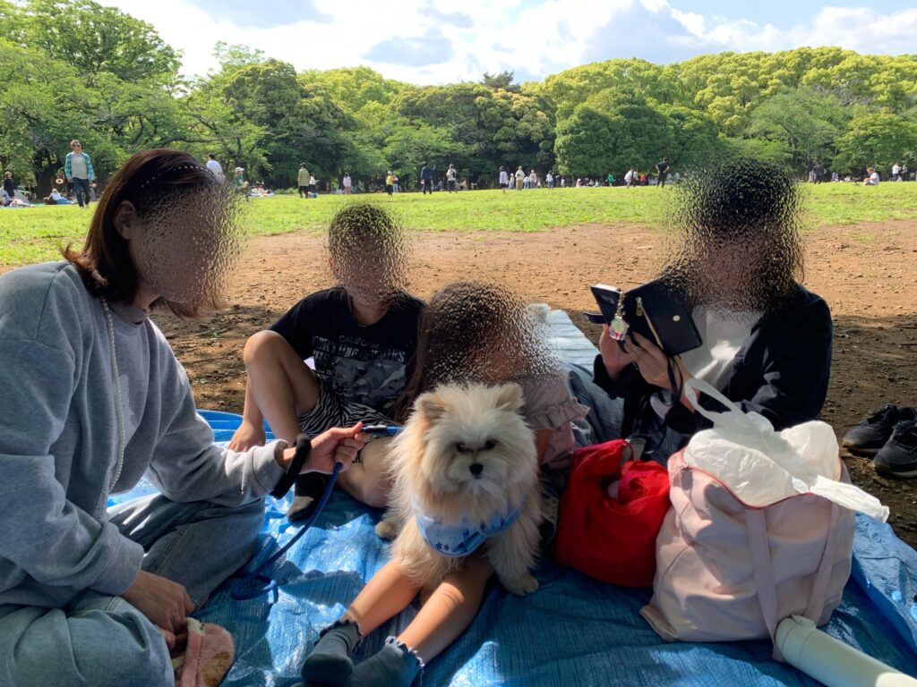 お友達とリボンくん