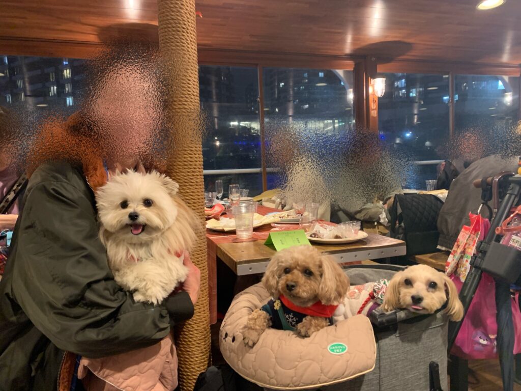 Sunny Seas. クリスマスイベント2025