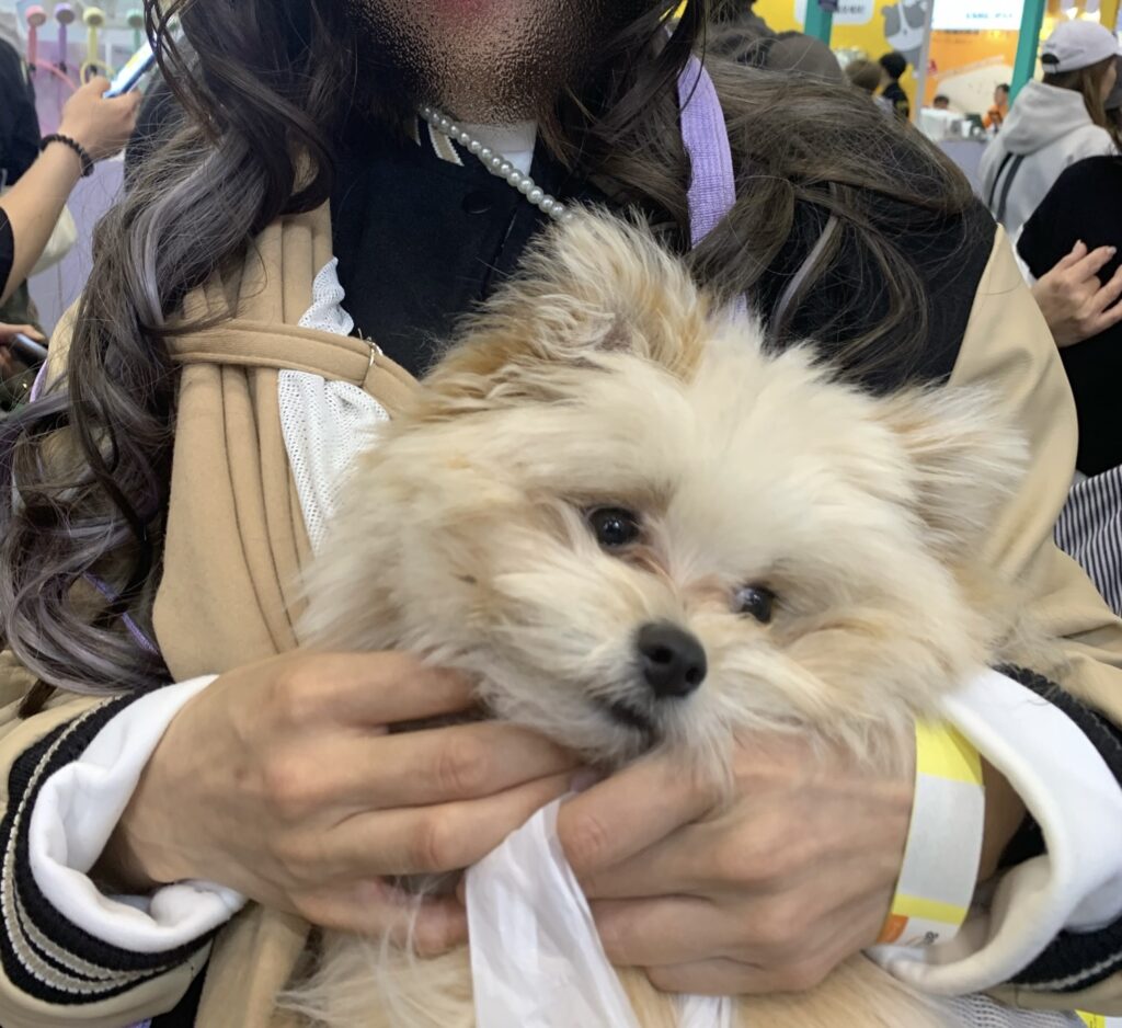 東京インターペット2025