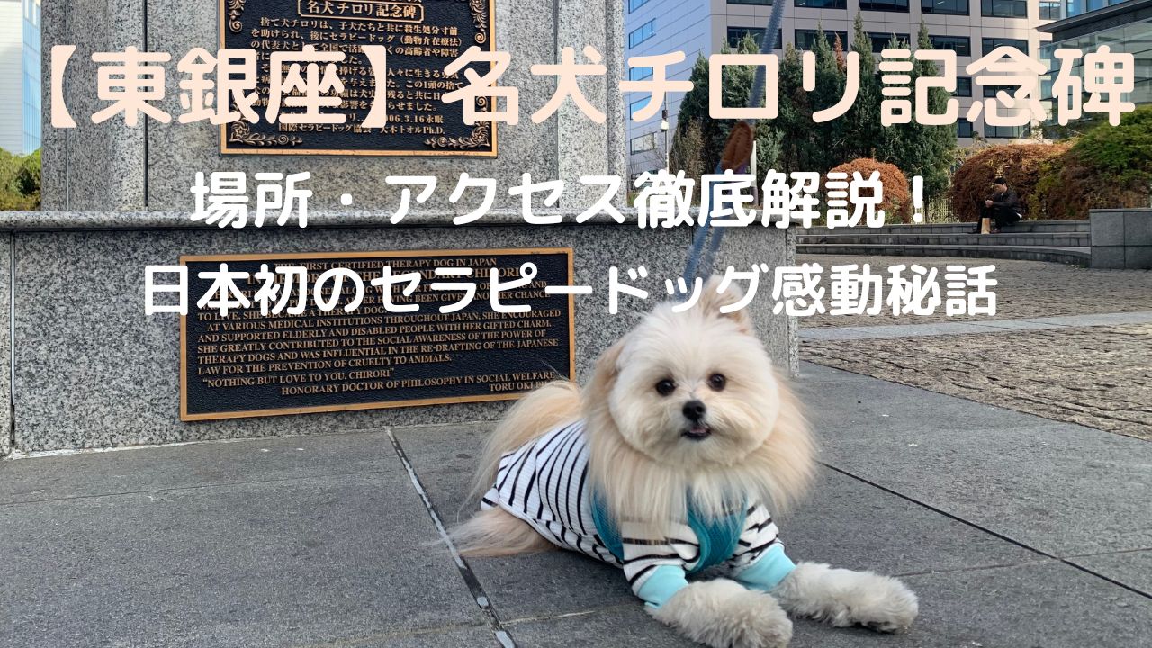 【東銀座】名犬チロリ記念碑の場所・アクセス徹底解説！日本初のセラピードッグに隠された感動秘話