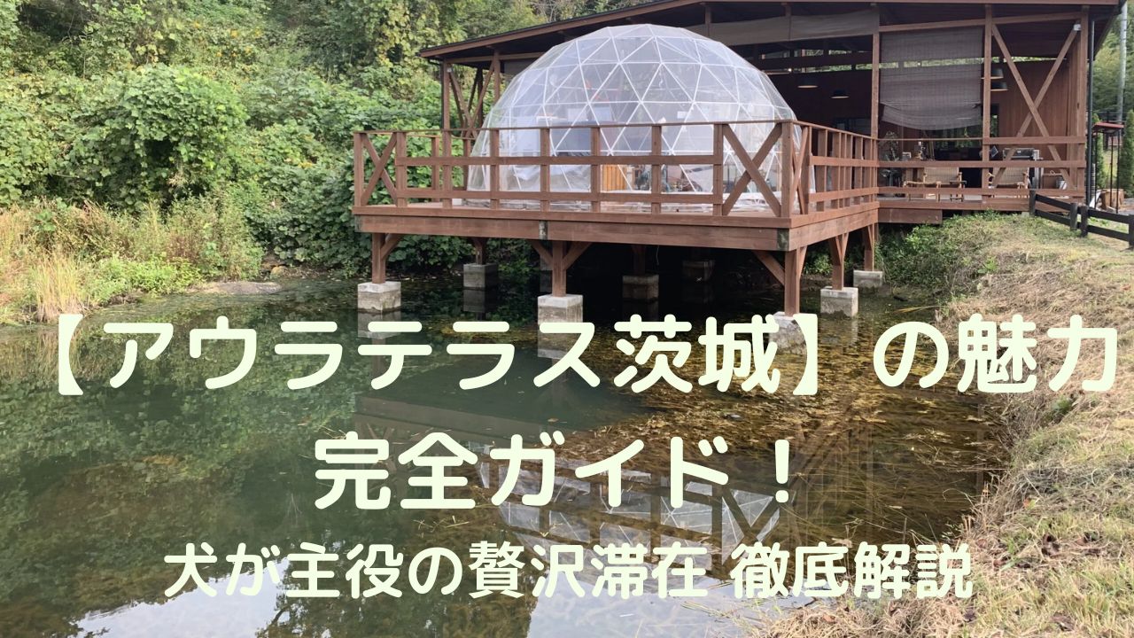 【アウラテラス茨城】の魅力完全ガイド！犬が主役の贅沢滞在 徹底解説