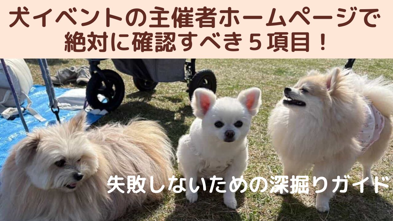犬イベントの主催者ホームページで絶対に確認すべき5項目！失敗しないための深掘りガイド