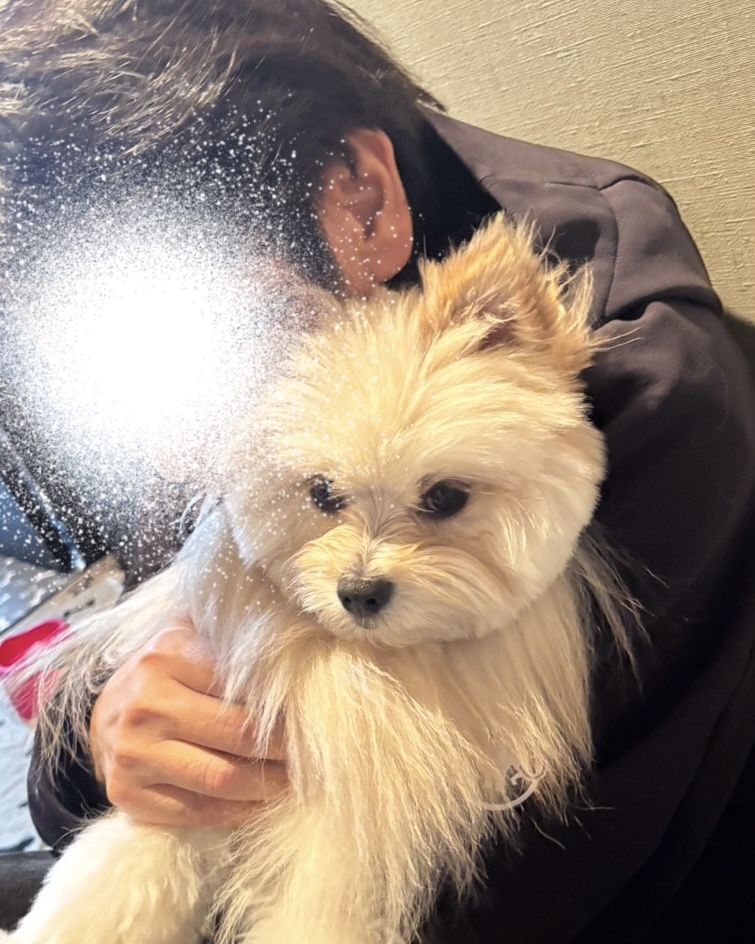 運営者【きひと】とマルポメ【リボンくん】