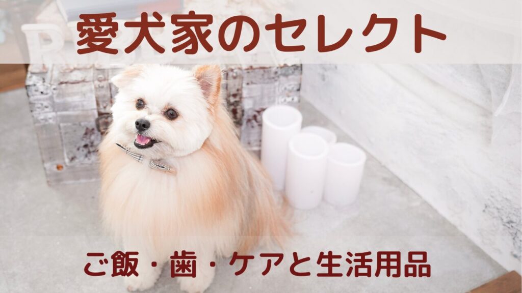 愛犬家のセレクト