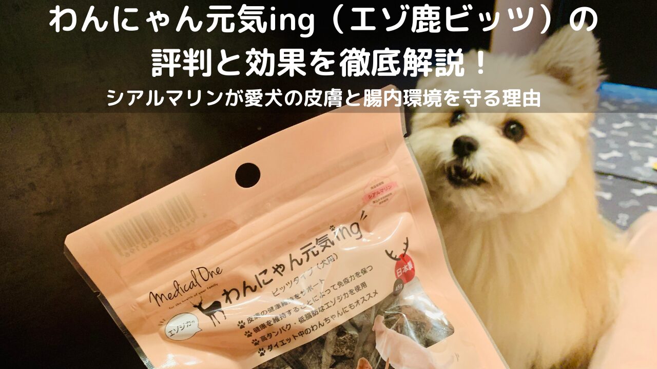 わんにゃん元気ing（エゾ鹿ビッツ）の評判と効果を徹底解説！シアルマリンが愛犬の皮膚と腸内環境を守る理由